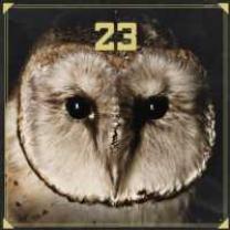 23 (SIDO & BUSHIDO) - 23 - CD