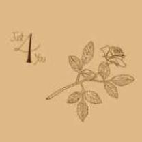 5036468200312 : GEORGE SMALLWOOD : JUST 4 YOU 5036468200312 : GEORGE SMALLWOOD : JUST 4 YOU